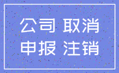 连续几家公司注销