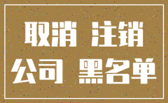 没开展过业务注销公司