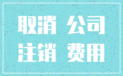 天津公司注销的手续怎么办理流程