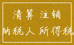 公司注销汇算清缴表格