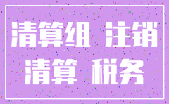 上市公司子公司注销要求