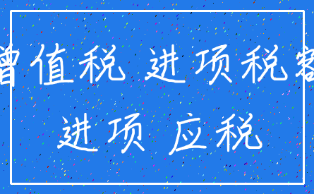 增值税 进项税额_进项 应税