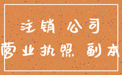 有限公司法人注销