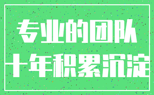 专业的团队_十年积累沉淀