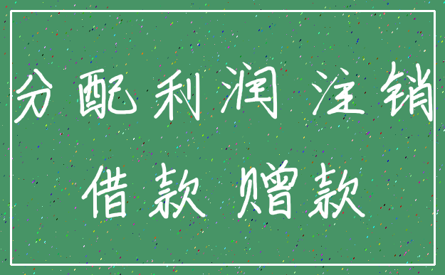 分配利润 注销_借款 赠款