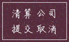 公司注销提供的资料有哪些