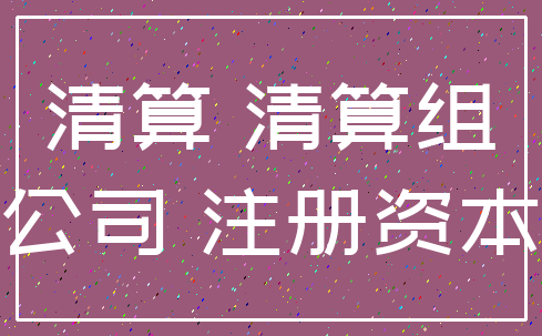 清算 清算组_公司 注册资本