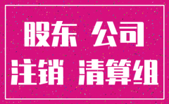 公司注销股东决议证明