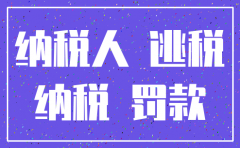 注销的公司税款追缴期