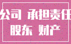一人公司注销后责任谁承担