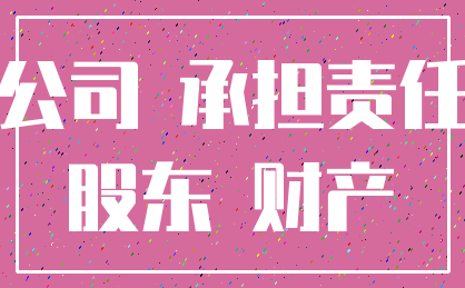 公司 承担责任_股东 财产