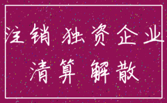 独资公司注销流程及费用
