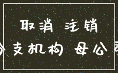 公司开了半年 能注销吗