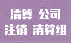 非公司企业注销清算范文