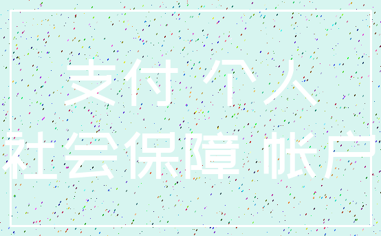 支付 个人_社会保障 帐户