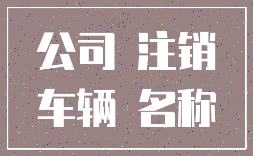 公司 注销_车辆 名称