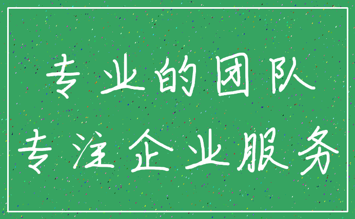 专业的团队_专注企业服务