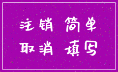 河北省公司简易注销表格下载