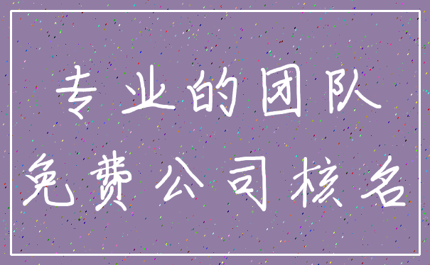 专业的团队_免费公司核名