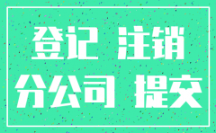 分公司注销提交材料6