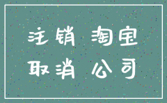 公司注销 公司网店