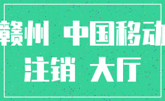 在赣州如何注销公司
