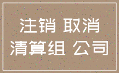 分公司没开业能注销吗
