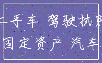 二手车 驾驶执照_固定资产 汽车
