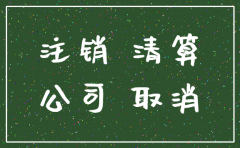 即时注销公司的流程