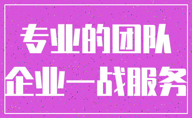 专业的团队_企业一战服务