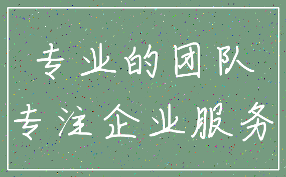 专业的团队_专注企业服务