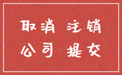 公司被进入注销程序 英文