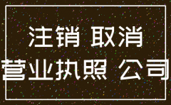 怎么在网上申请注销公司