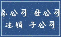 分公司注销账并入母公司分录