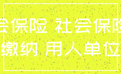 公司欠缴社保能注销公司吗