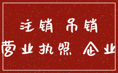 深圳的公司申请注销在哪里查结果