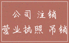 个人有限公司不注销公司后果