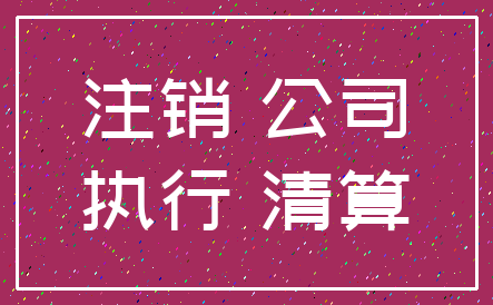 注销 公司_执行 清算