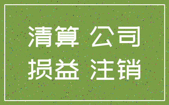 清算 公司_损益 注销
