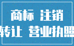 公司注销知识产权