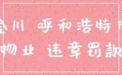 呼市金川注销公司