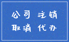 代办个人注册公司 注销