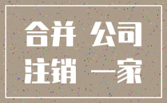 公司合并和注销再加入对比