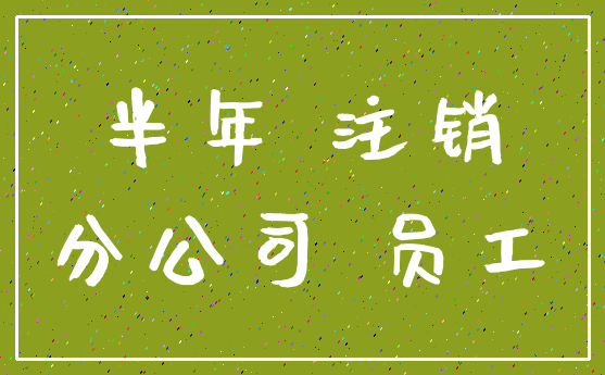 半年 注销_分公司 员工