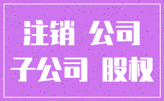 子公司注销 孙公司股权