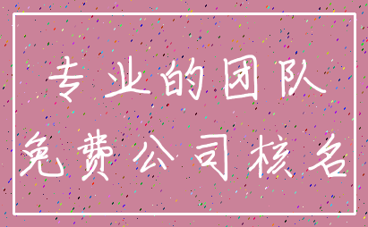 专业的团队_免费公司核名
