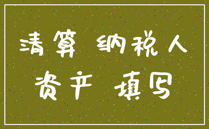 清算 纳税人_资产 填写