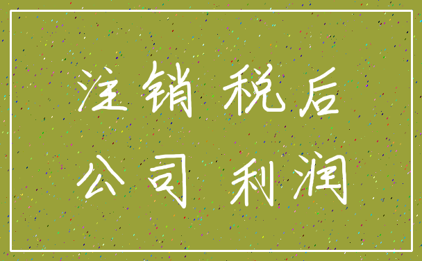 注销 税后_公司 利润