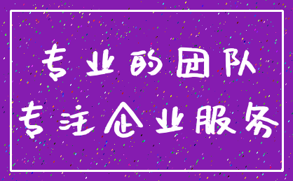 专业的团队_专注企业服务