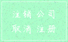 直接注销空公司 要什么流程